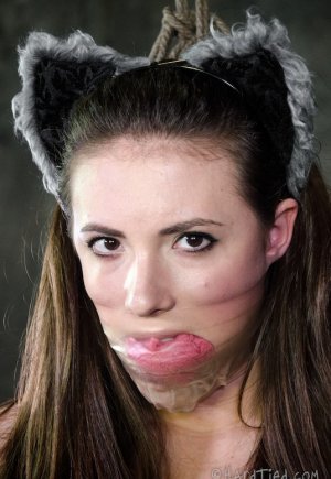 Милая девушка Кейси Калверт носит анальную пробку с кошачьим хвостом и зажимы для сосков картинка 11