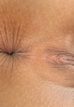 Сладкие попки крупным планом картинка 500